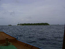 Erster Blick auf die Insel Machchafushi